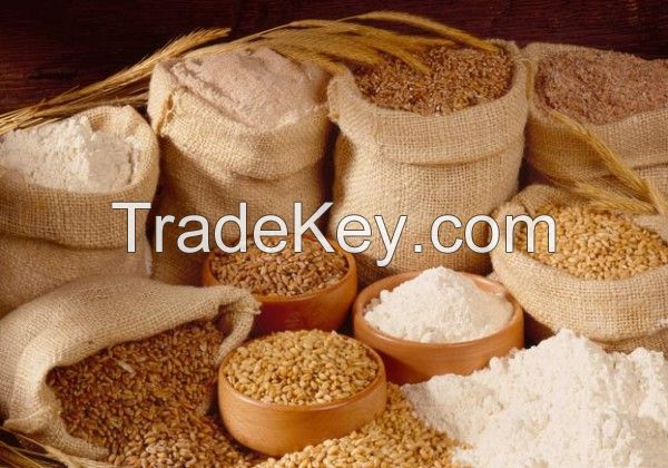 EXPORT WHEAT FLOUR FOR MAKING BREAD OR CAKE 