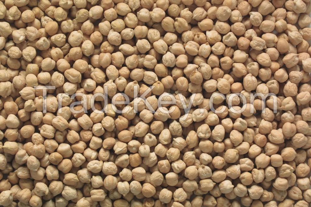 Top Quality Chick Peas, Kabuli Chick Peas grade A for sale Competitive Price