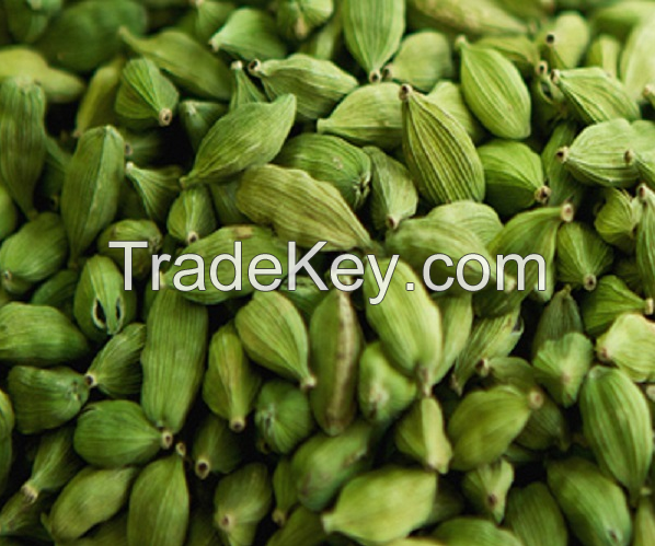 Green Cardamom