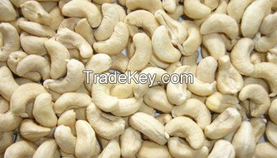 RAW CASHEW NUTS | RCN | CASHEW