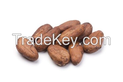 Cocoa | Cocoa Beans | Natural Cocoa Bean