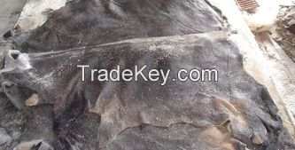 Donkey Hide | Donkey Skin | Donkey Leather