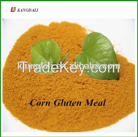  corn gluten meal 60% 