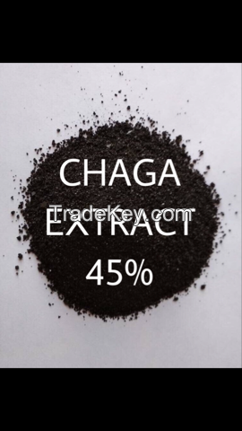 EXTRACT CHAGA MUSHROOMS SUBLIMATED