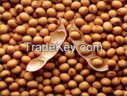 Soybeans for sale