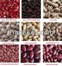 Kidney Beans