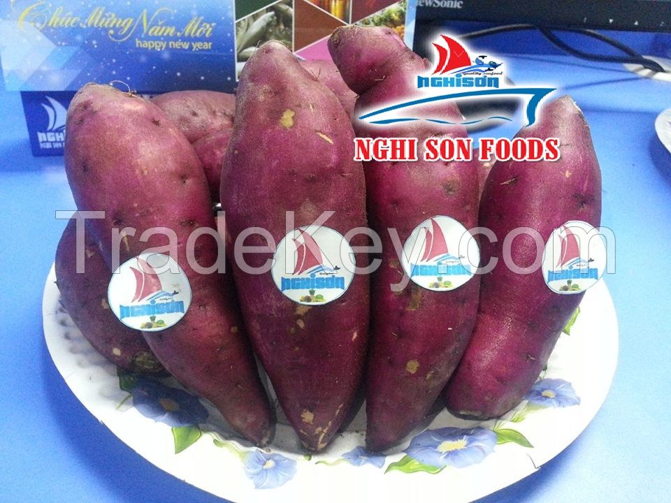 VIETNAMESE SWEET POTATO WHATSAPP +84986365621