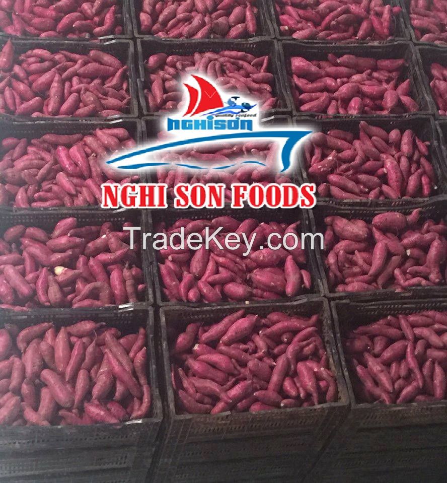 VIETNAMESE SWEET POTATO WHATSAPP +84986365621