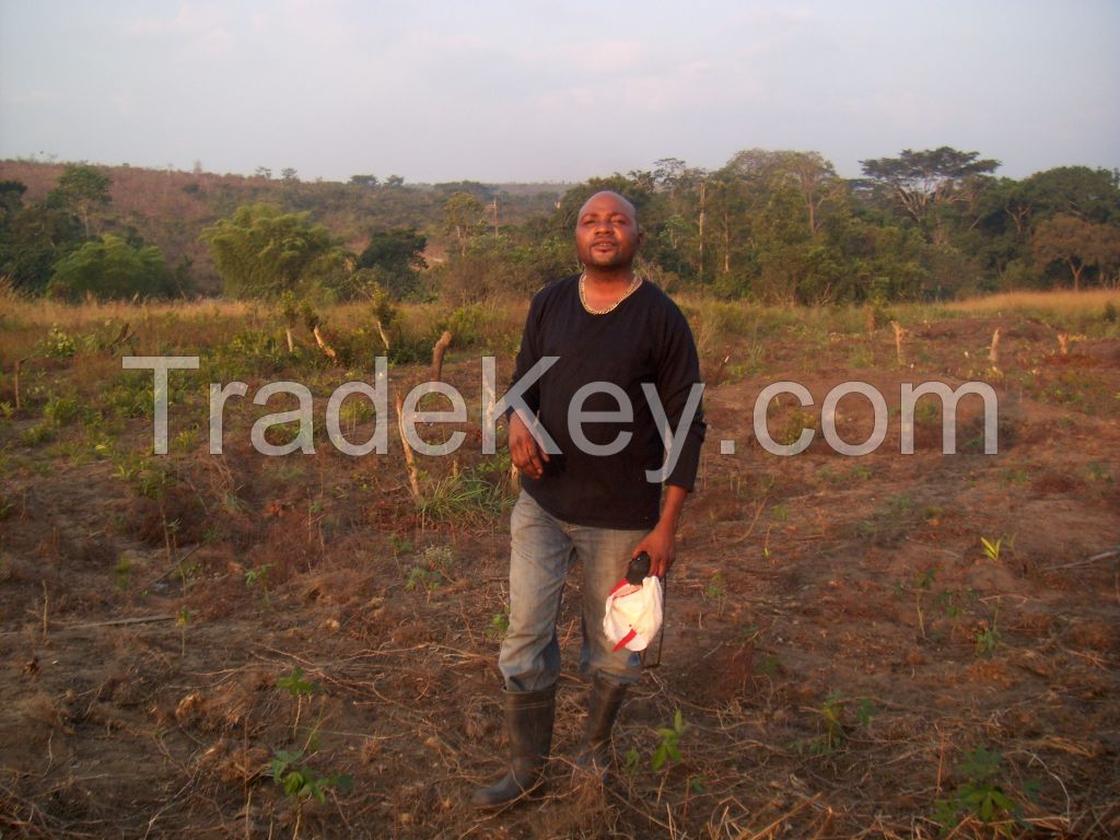 1000 ha Agricultural Farm Land in Angola