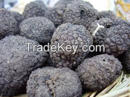 Dry/Frozen/Fresh Truffles Premium Grade