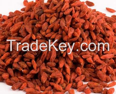 organic goji berries, EU/ NOP organic, Lycium chinensis, Lycium barbarum, BIO GOJI