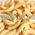 50PCS 2cm 0.3g maggot Grub Soft Lure Baits smell Worms | Glow | Shrimps