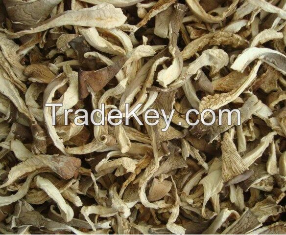 Dried Oyster Mushroom