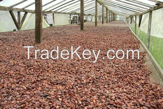 Quality Dried Cocoa Beans