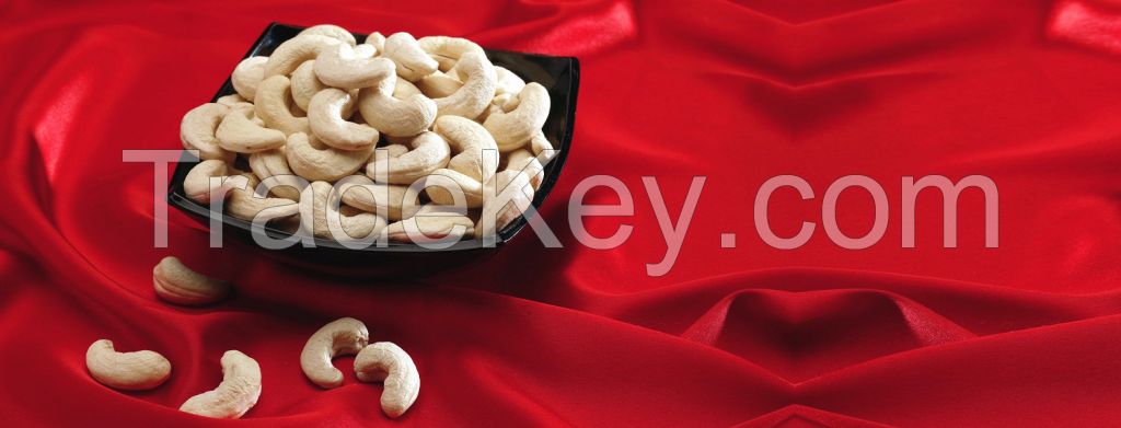 WW 210, WW 320, WW240 CASHEW NUTS