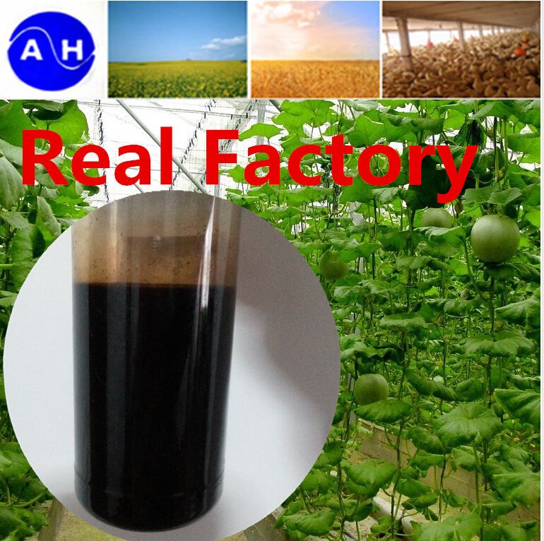 Vegetable Base Amino Acid Liquid 30%, 40%, 50%