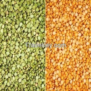 Red Lentils / Green Lentils