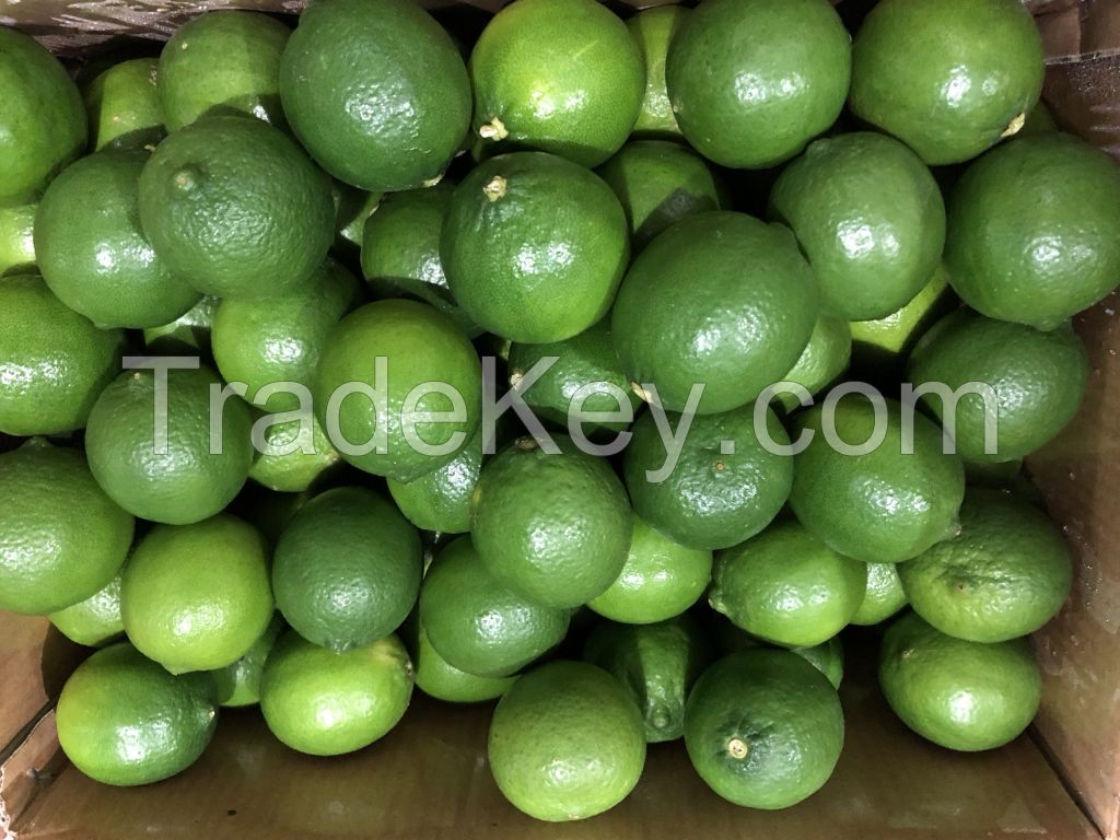 Fresh seedless Lime &amp; Fresh green Lemon 