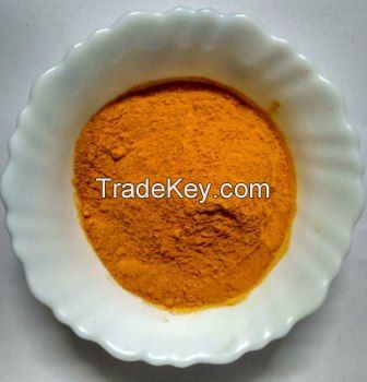 High Quality Turmeric Powder From India