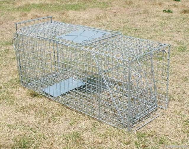 collapsible dog cage