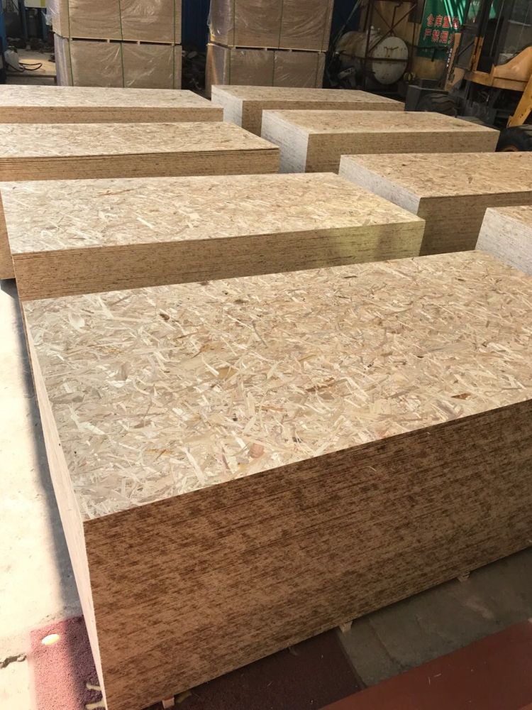 Cheap price OSB made in China