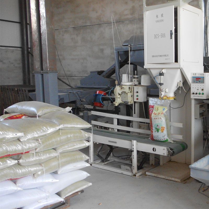 Mung bean seed processing line