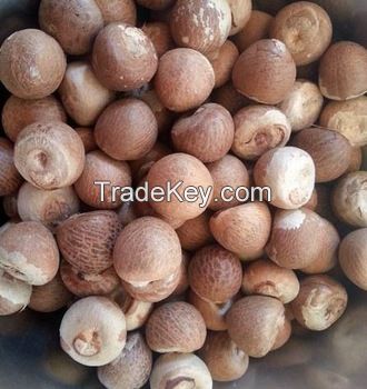 High Quality Whole &amp;amp; Split Betel Nut