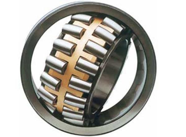 Needle Roller Bearing Bk1010/HK1010/Nki 20/20