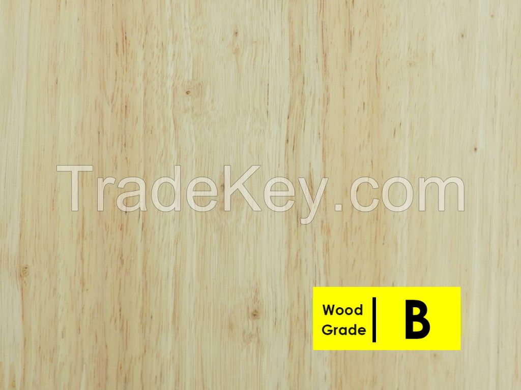 Thailand Rubberwood Finger Joint Board