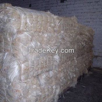 UG Grade White Sisal Fiber for Building High Quality