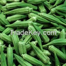 good quality fresh okra, fresh lady finger, fresh bamya