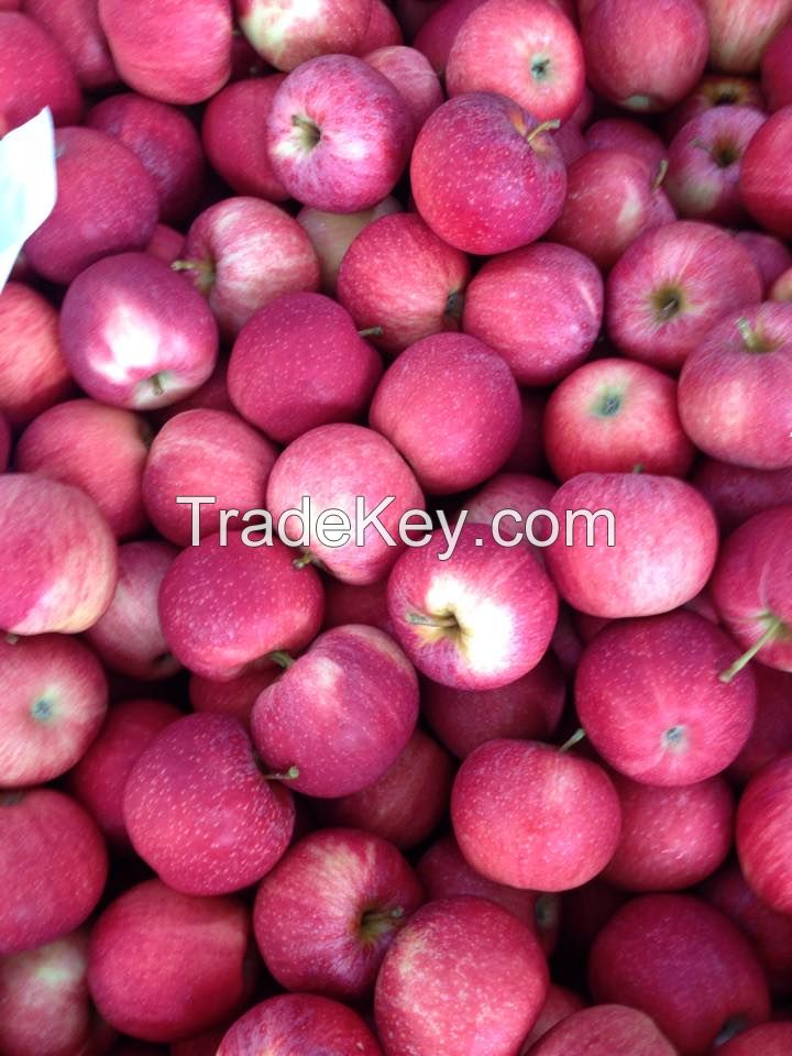 Royal Gala Apples