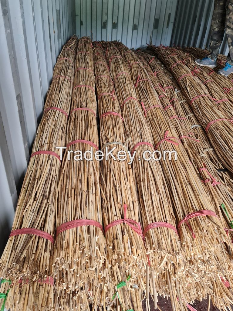 High quality raw rattan from Vietnam