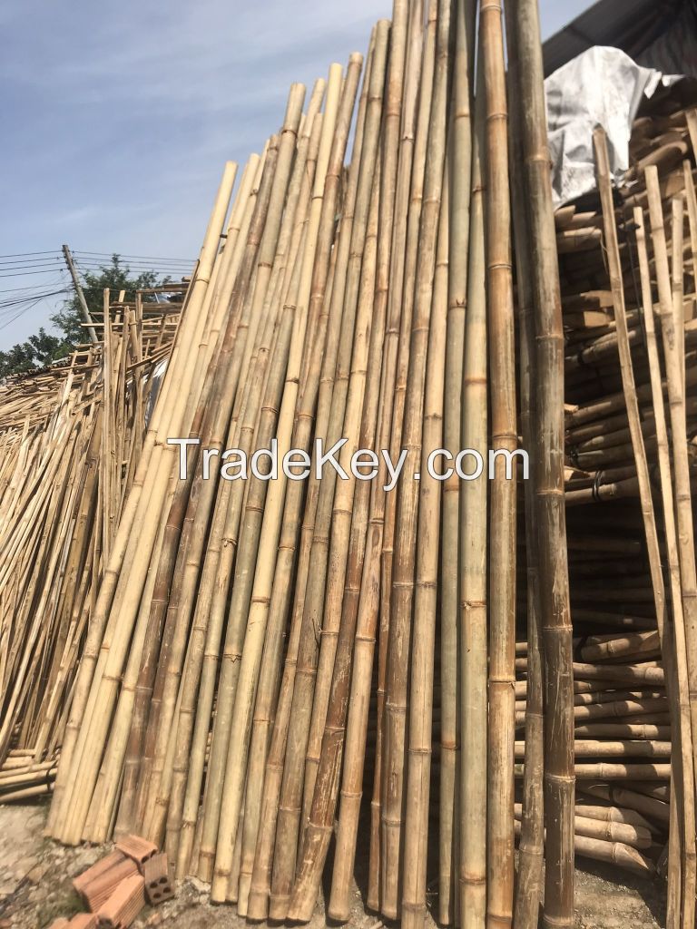 VIETNAMESE BAMBOO POLES NATURAL ECO-FRIENDLY DURABLE SUSTAINABLE GARDENING