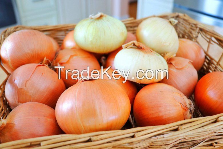 FROZEN ONION PURE / LIVER DETOX / CLEAN INGREDIENT / NUTRIENT-PACKED