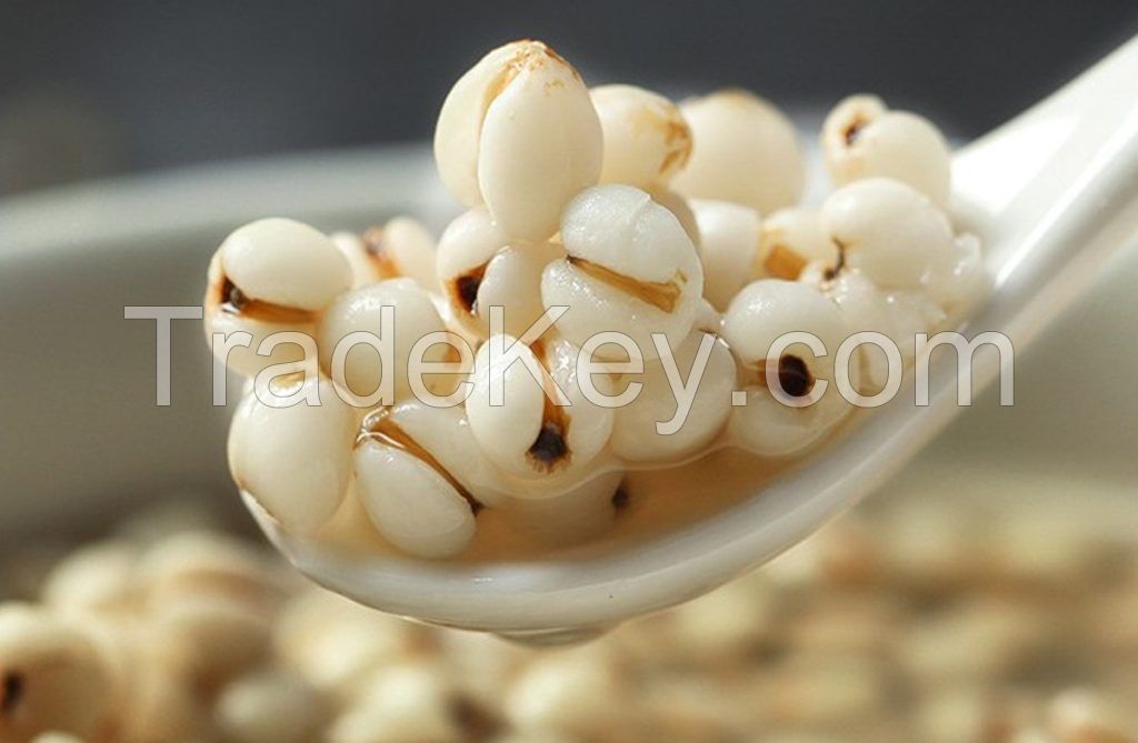 NATURAL COIX SEED / CLEAN DETOX / CLEAN LABEL / GLUTEN-FREE