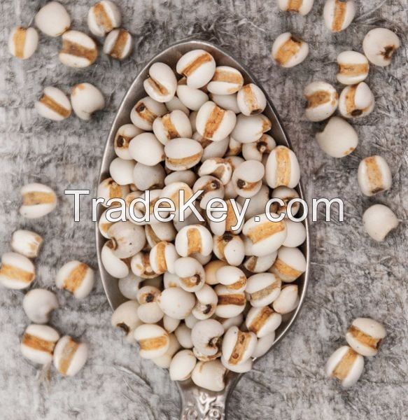 NATURAL COIX SEED / CLEAN DETOX / CLEAN LABEL / GLUTEN-FREE
