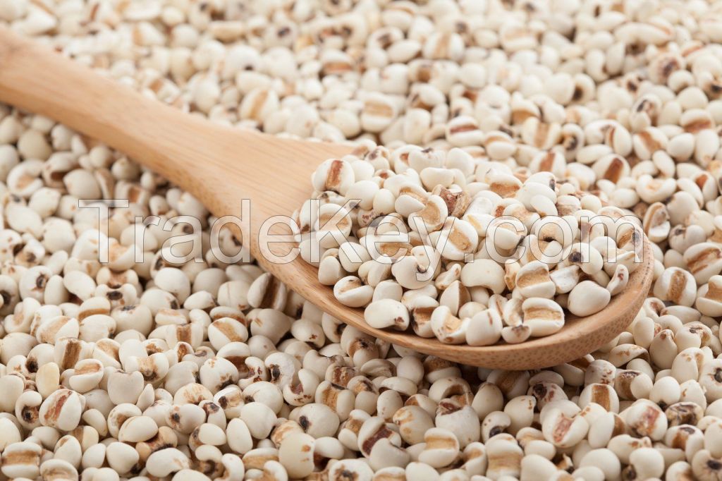 NATURAL COIX SEED / CLEAN DETOX / CLEAN LABEL / GLUTEN-FREE