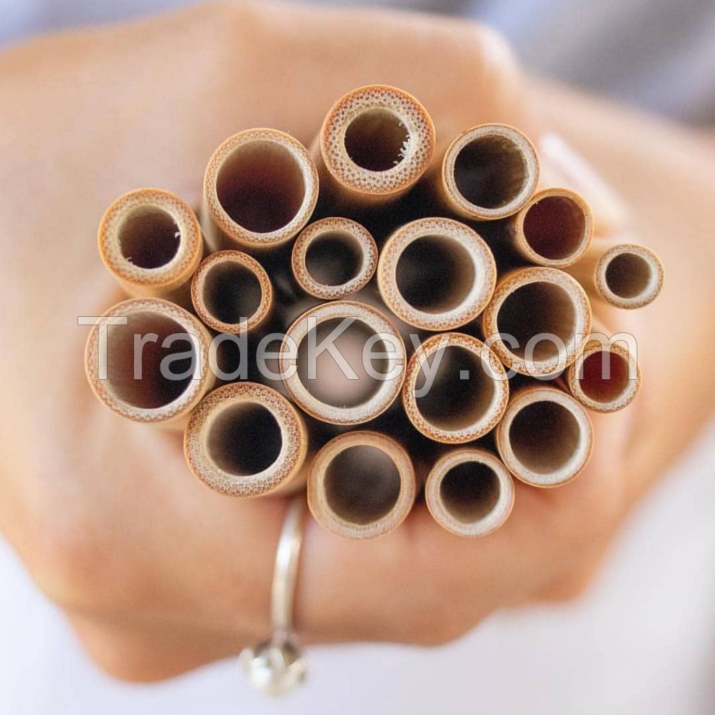 NATURAL BAMBOO STRAWS / CLEAN LABEL / PLANT-BASED / ECO DRINKWARE