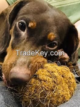 PLANT-BASED DOG CHEW TOY / COCONUT FIBER / NO ADDITIVES / PET SAFE