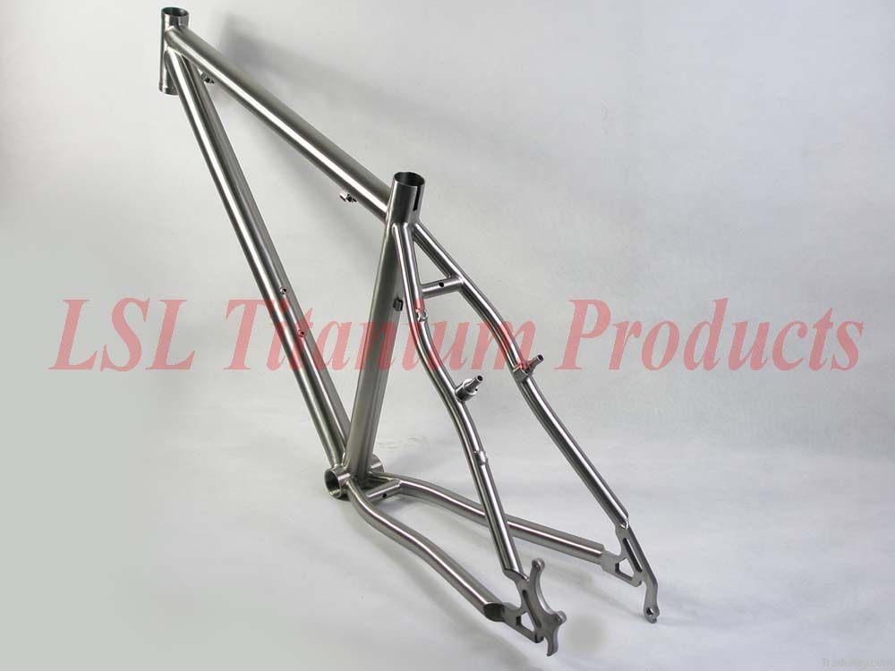 Titanium MTB Frame