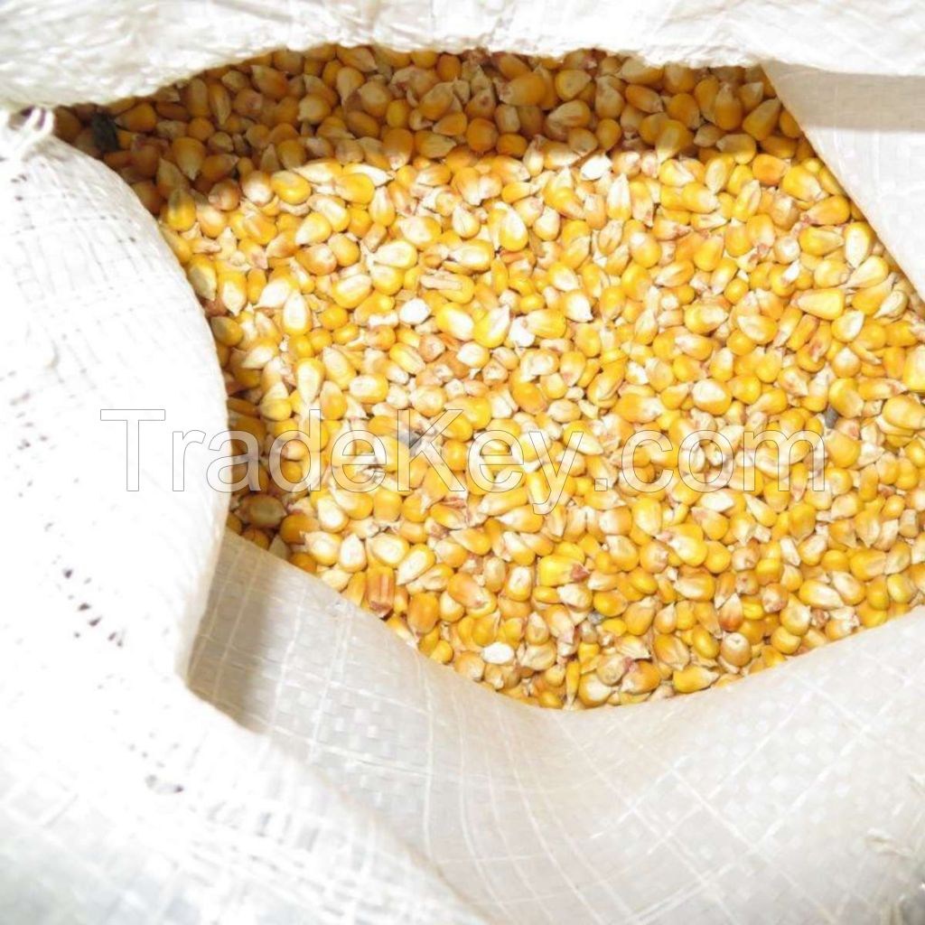 Yellow Corn (NON -GMO)