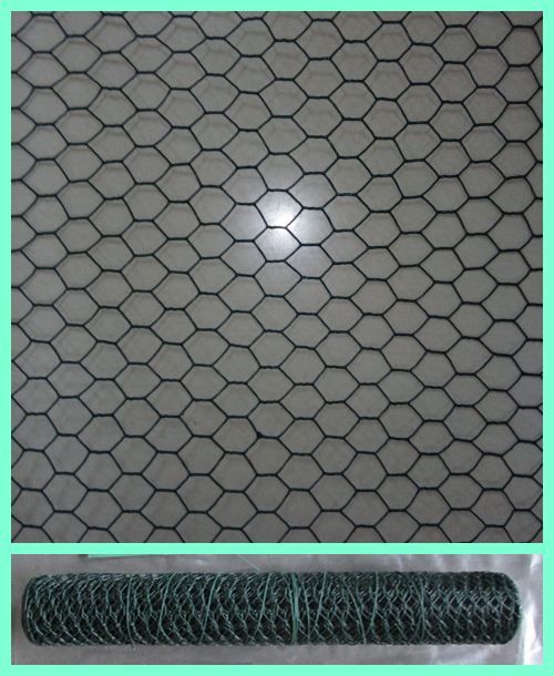 hexagonal wire mesh