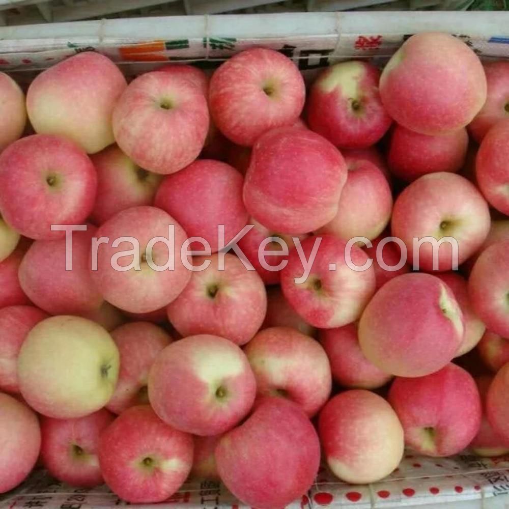 Fresh Royal Gala Apple, Fuji Apple, Red Delicious Apples