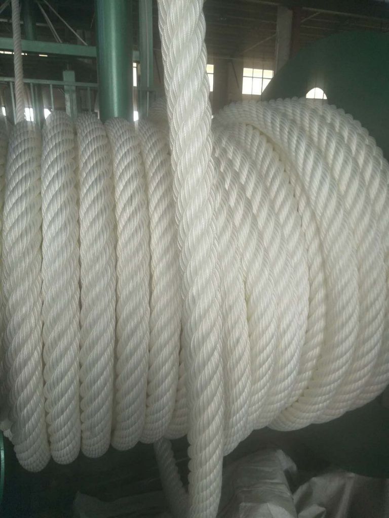 Mooring lines 