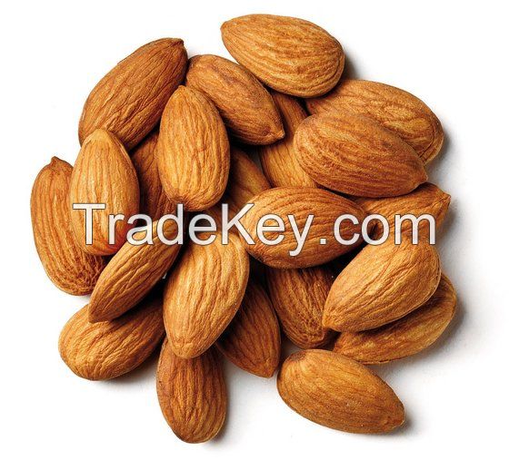 Almond Nuts