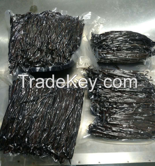 Wholesale High Quality Vanilla Beans ( PREMIUM GRADE)