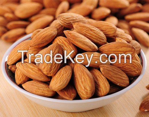 Wholesale 100% Dried Apricot kernels / Sweet / Bitter Apricot kernels