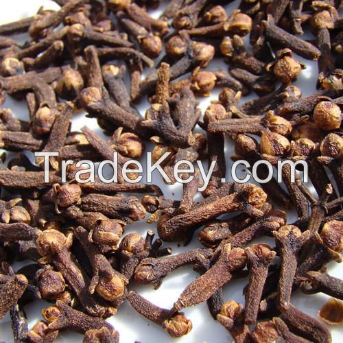 HIGH QUALITY DRY CLOVE SPICES &amp; HERBS