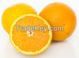 Fresh Seedless Navel and Valencia oranges from South Africa,Juicy oranges